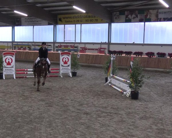 Reitturnier Südlohn-Oeding 2018