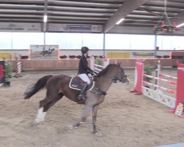 Reitturnier Südlohn-Oeding 2018