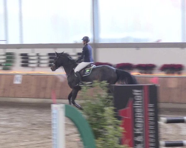 Reitturnier Südlohn-Oeding 2018
