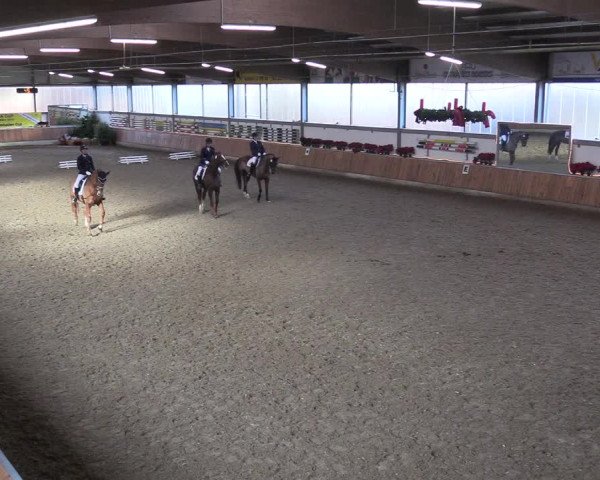 Reitturnier Südlohn-Oeding 2018