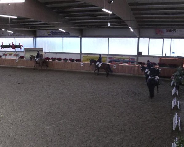 Reitturnier Südlohn-Oeding 2018