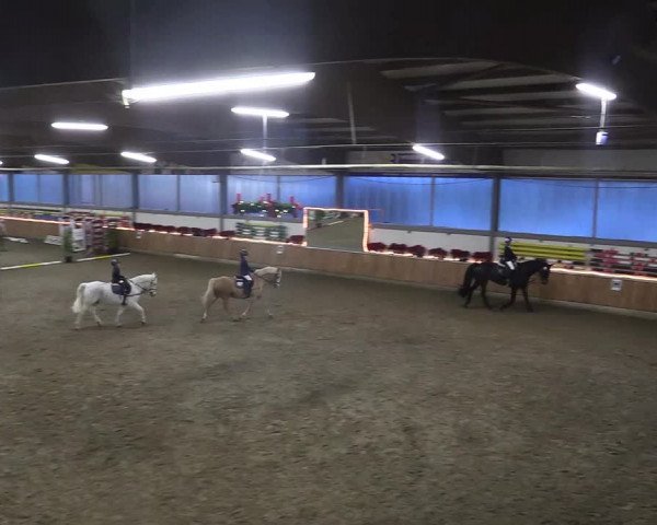 Reitturnier Südlohn-Oeding 2018
