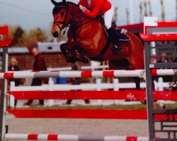 jumper Sunrise (Swedish Warmblood, 2003, from VDL Cardento 933)