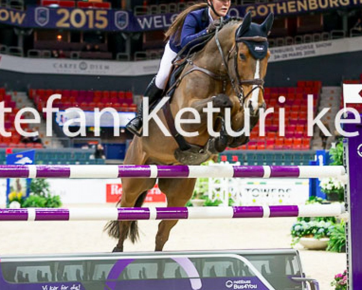 jumper Urco D'Hoyo (Belgian Warmblood, 2004, from Ogano Sitte)