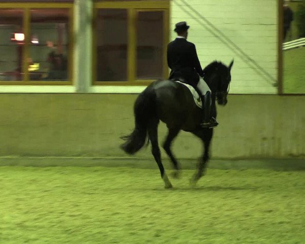 Reitturnier Appelhülsen 2018