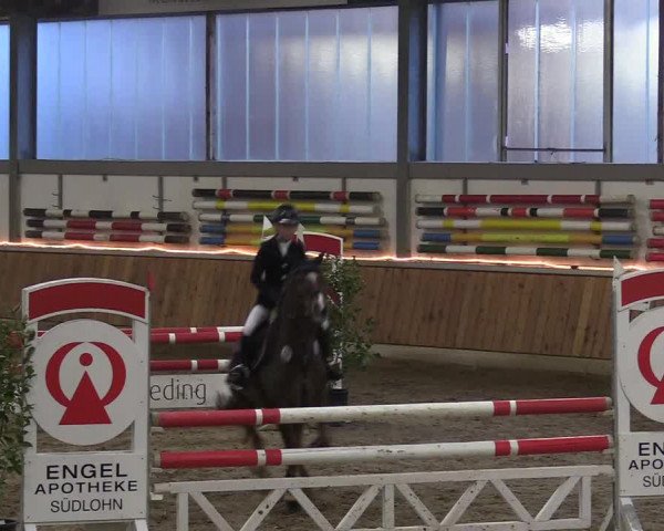 Reitturnier Südlohn-Oeding 2018