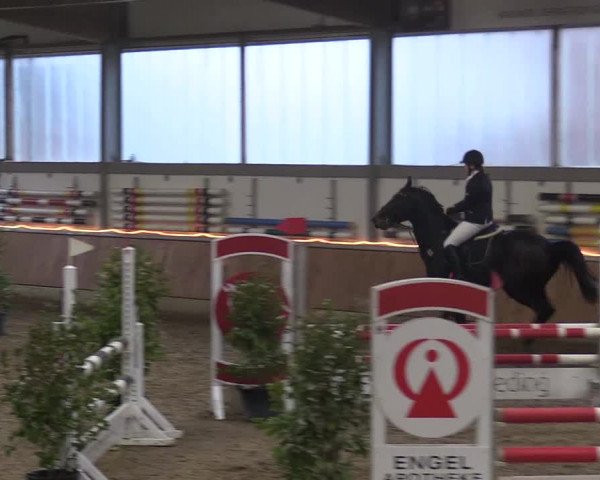 Reitturnier Südlohn-Oeding 2018