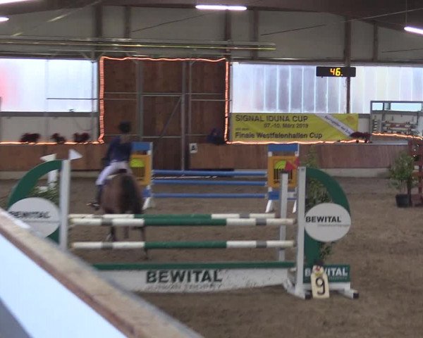 Reitturnier Südlohn-Oeding 2018