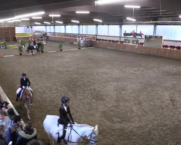 Reitturnier Südlohn-Oeding 2018