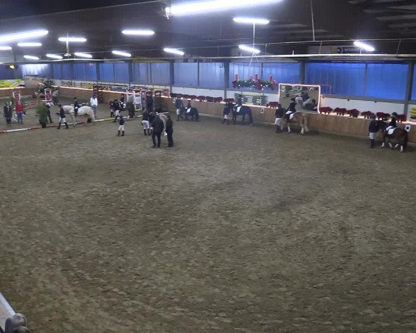 Reitturnier Südlohn-Oeding 2018