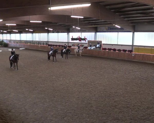 Reitturnier Südlohn-Oeding 2018