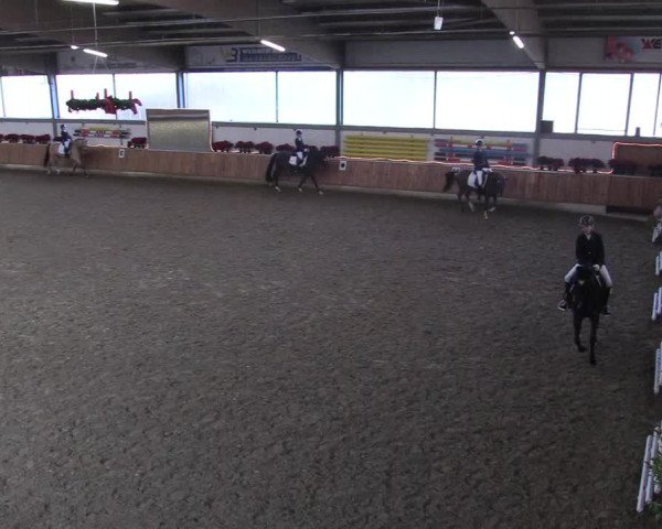 Reitturnier Südlohn-Oeding 2018