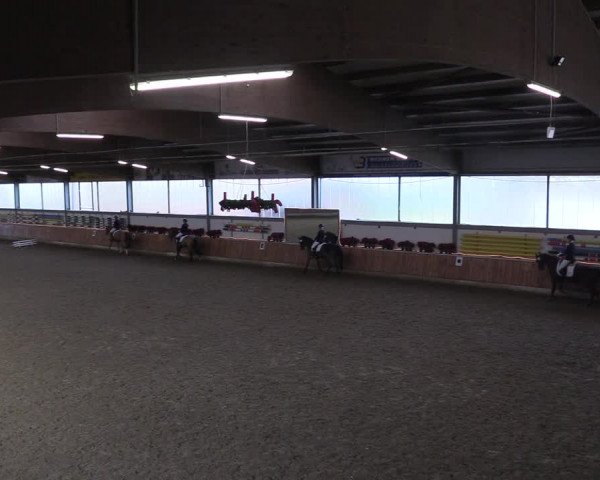 Reitturnier Südlohn-Oeding 2018