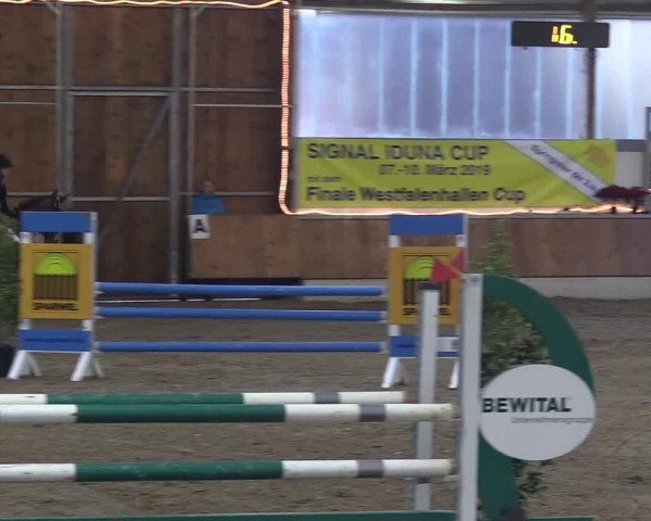 Reitturnier Südlohn-Oeding 2018