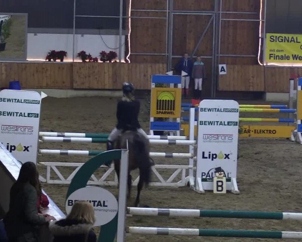 Reitturnier Südlohn-Oeding 2018