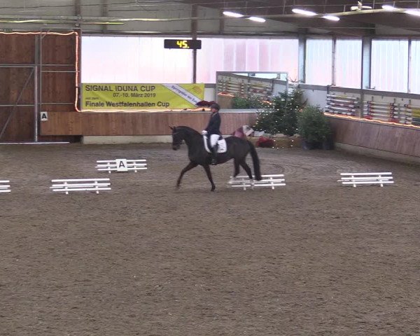 Reitturnier Südlohn-Oeding 2018