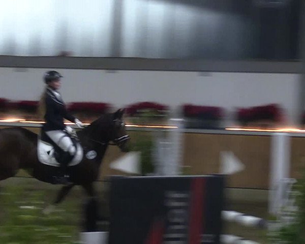 Reitturnier Südlohn-Oeding 2018