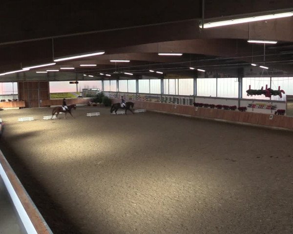 Reitturnier Südlohn-Oeding 2018