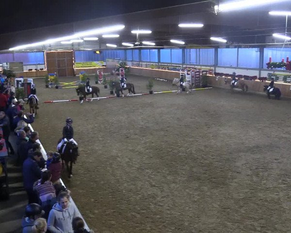 Reitturnier Südlohn-Oeding 2018