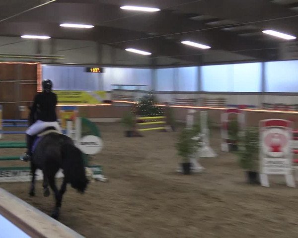 Reitturnier Südlohn-Oeding 2018