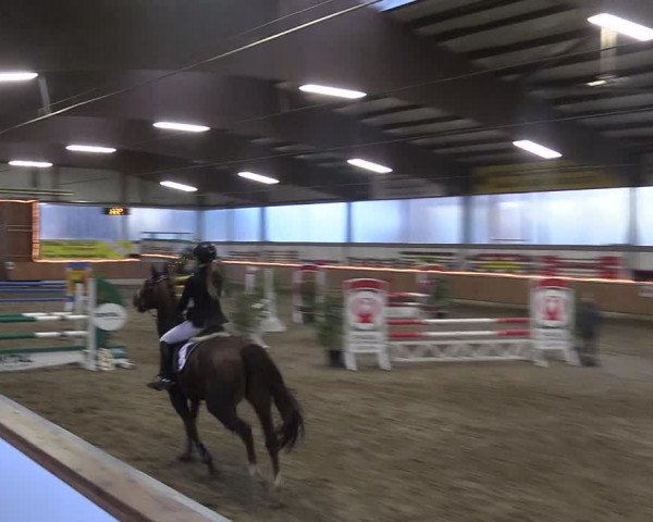 Reitturnier Südlohn-Oeding 2018