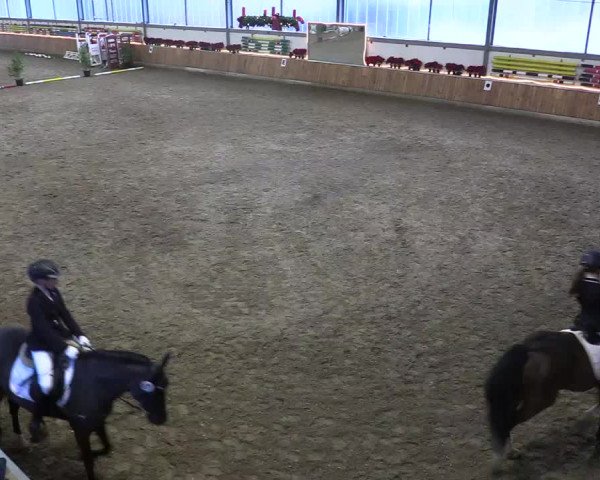 Reitturnier Südlohn-Oeding 2018