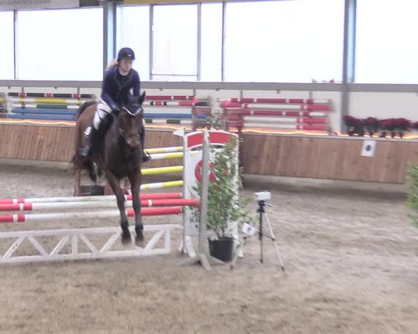 Reitturnier Südlohn-Oeding 2018