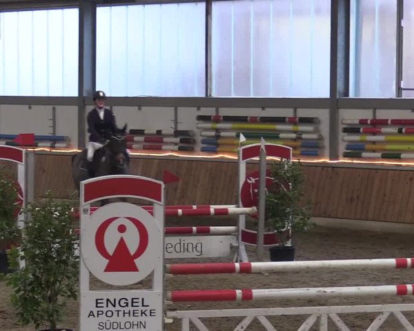 Reitturnier Südlohn-Oeding 2018