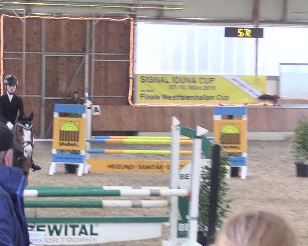 Reitturnier Südlohn-Oeding 2018