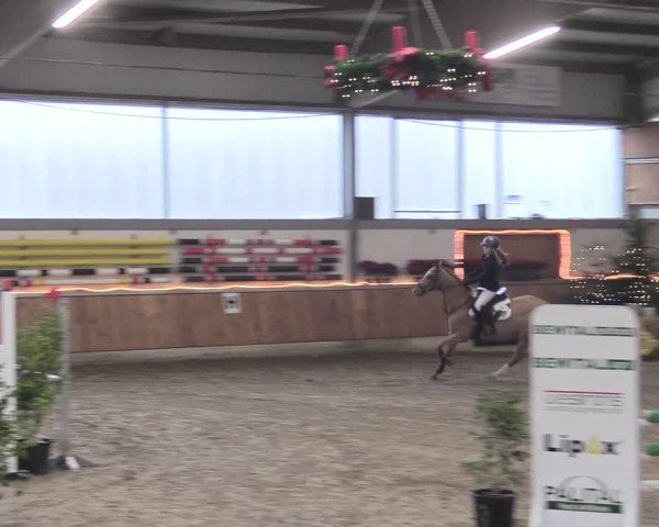 Reitturnier Südlohn-Oeding 2018