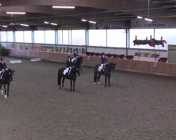 Reitturnier Südlohn-Oeding 2018