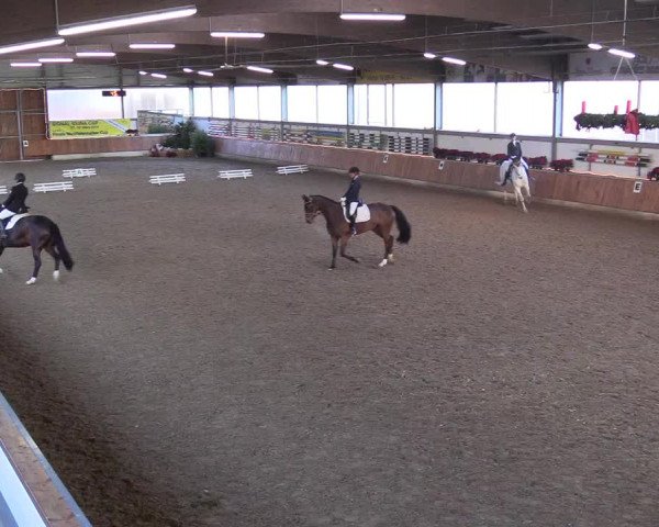 Reitturnier Südlohn-Oeding 2018