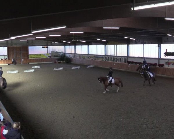 Reitturnier Südlohn-Oeding 2018