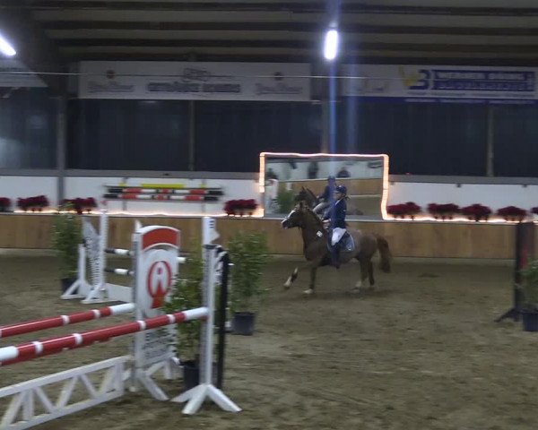 Reitturnier Südlohn-Oeding 2018