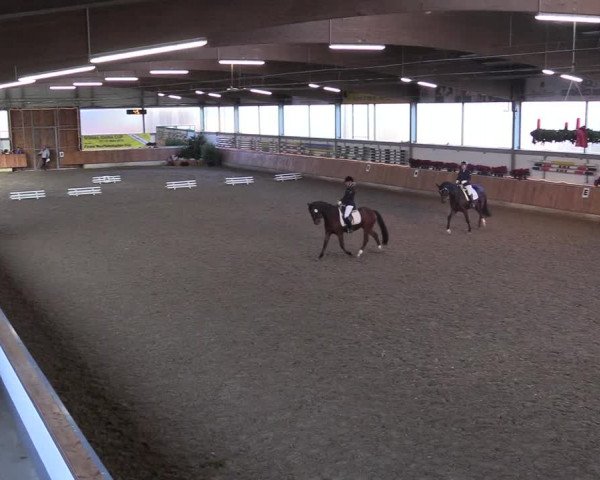 Reitturnier Südlohn-Oeding 2018