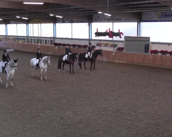Reitturnier Südlohn-Oeding 2018