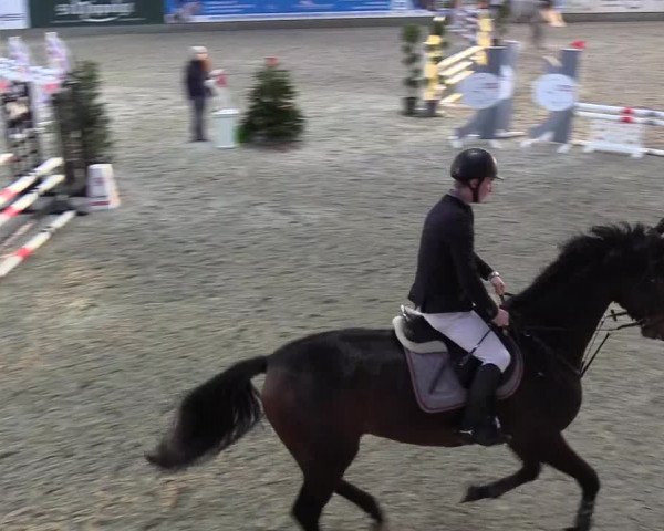 Nordic Jumping events 2018