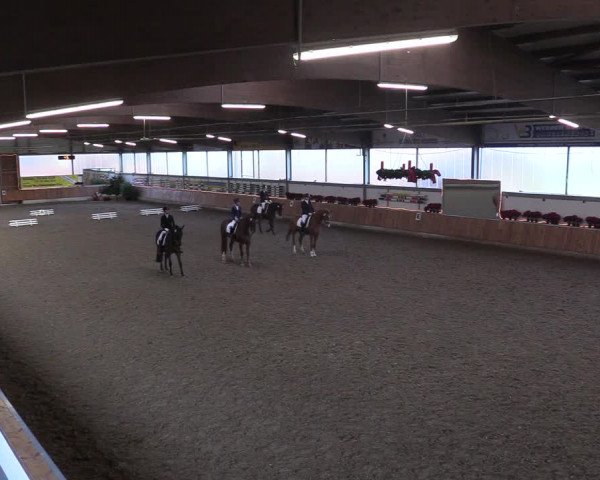 Reitturnier Südlohn-Oeding 2018
