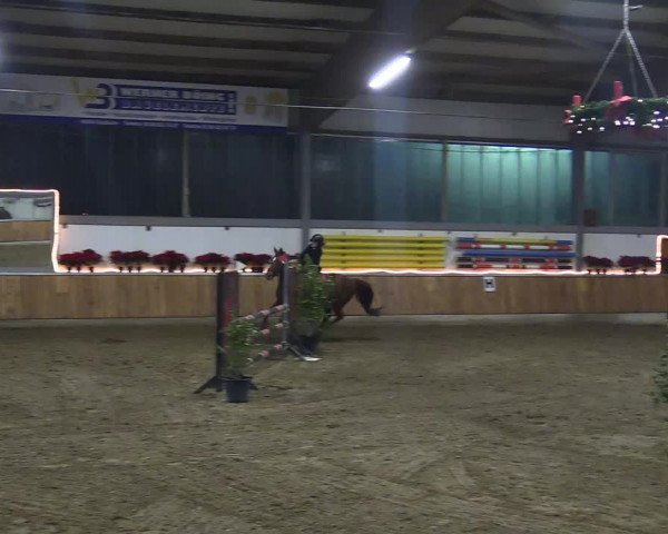 Reitturnier Südlohn-Oeding 2018