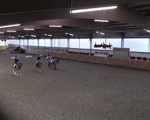 Reitturnier Südlohn-Oeding 2018