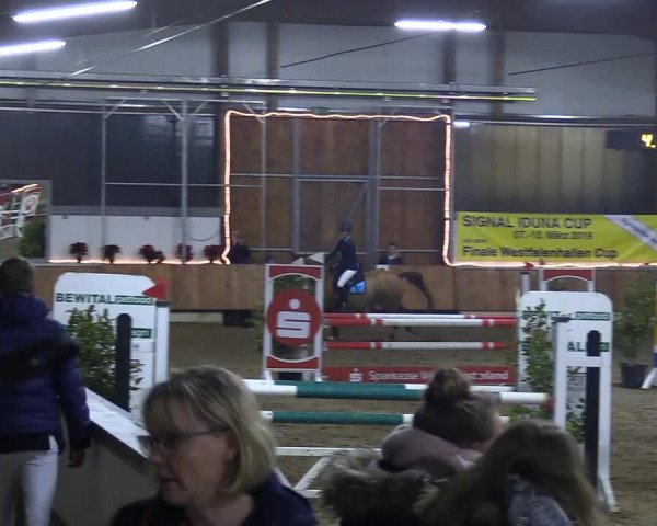 Reitturnier Südlohn-Oeding 2018