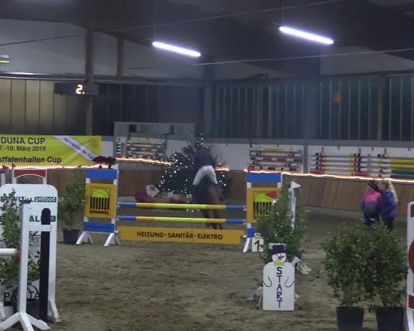 Reitturnier Südlohn-Oeding 2018