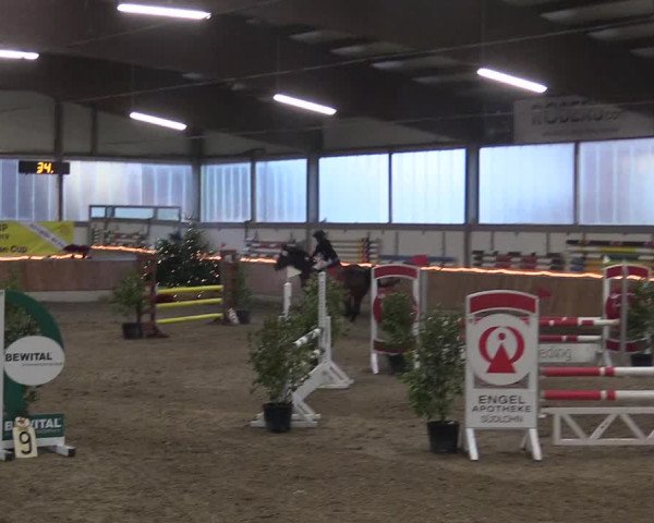 Reitturnier Südlohn-Oeding 2018