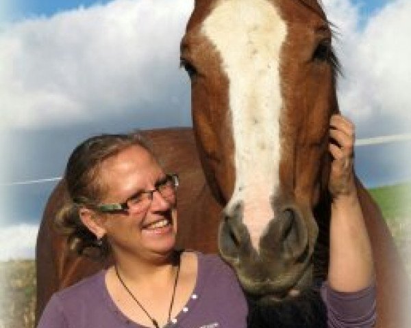 horse Rascoe (Bavarian, 2000, from Raphael)