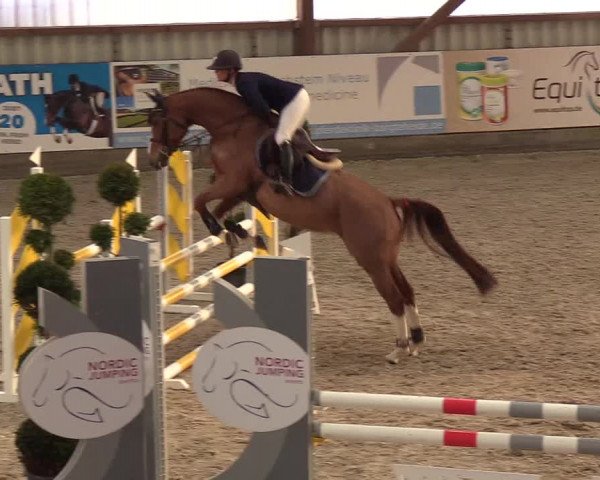 Nordic Jumping events 2018