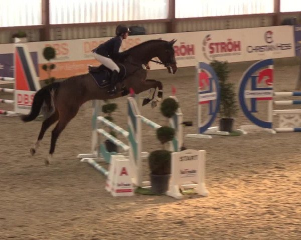 Nordic Jumping events 2018