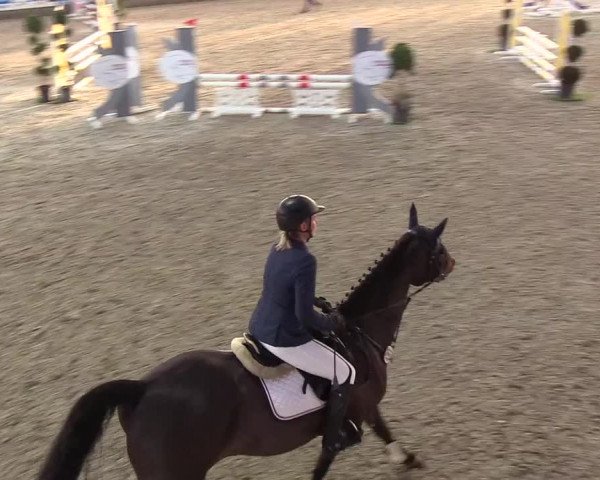 Nordic Jumping events 2018
