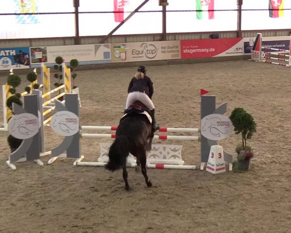 Nordic Jumping events 2018