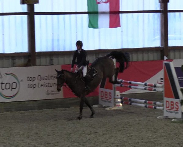 Nordic Jumping events 2018