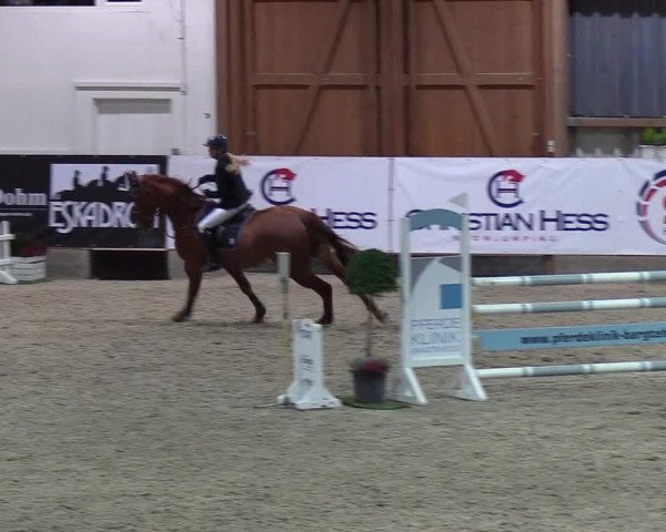 Nordic Jumping events 2018